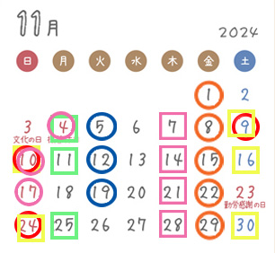 2024ǯΥ塼